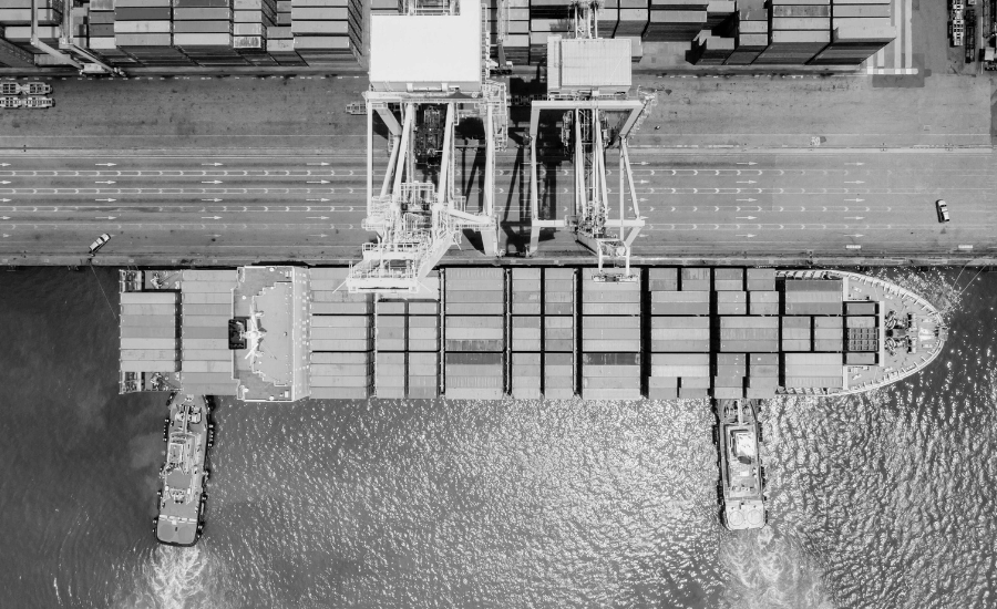 Transport Evergreen Reeds - Dock to Dock Service